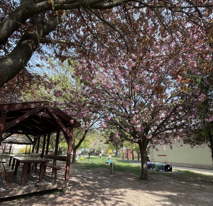 A Szivárvány Óvoda udvara